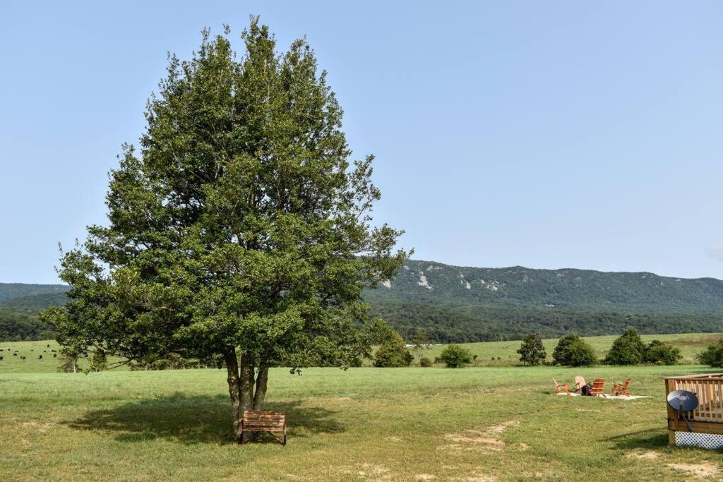 Holly Tree Retreat Located In Beautiful Luray, Va. Exterior foto