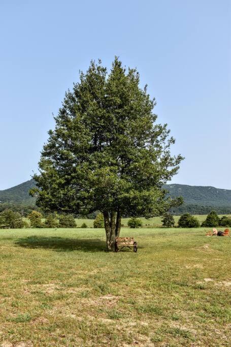 Holly Tree Retreat Located In Beautiful Luray, Va. Exterior foto