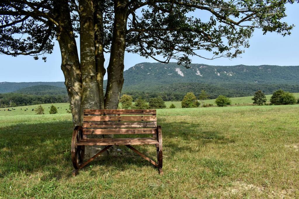 Holly Tree Retreat Located In Beautiful Luray, Va. Exterior foto