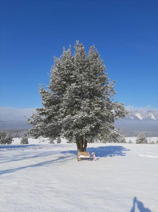 Holly Tree Retreat Located In Beautiful Luray, Va. Exterior foto