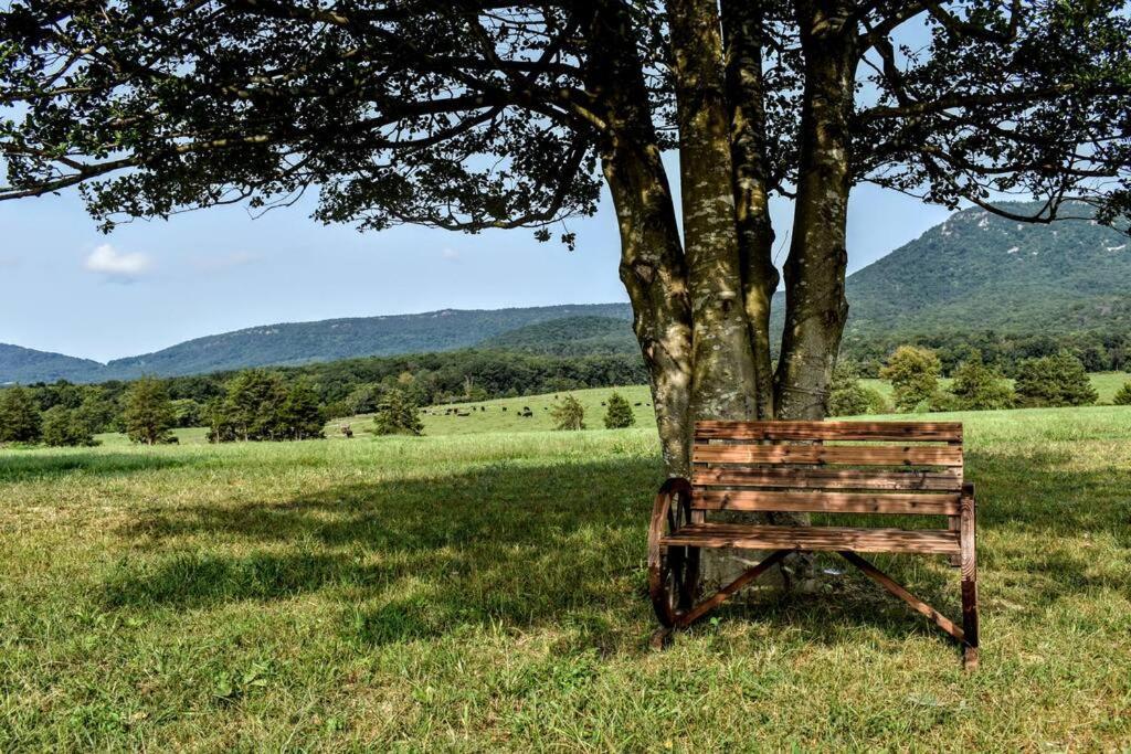 Holly Tree Retreat Located In Beautiful Luray, Va. Exterior foto