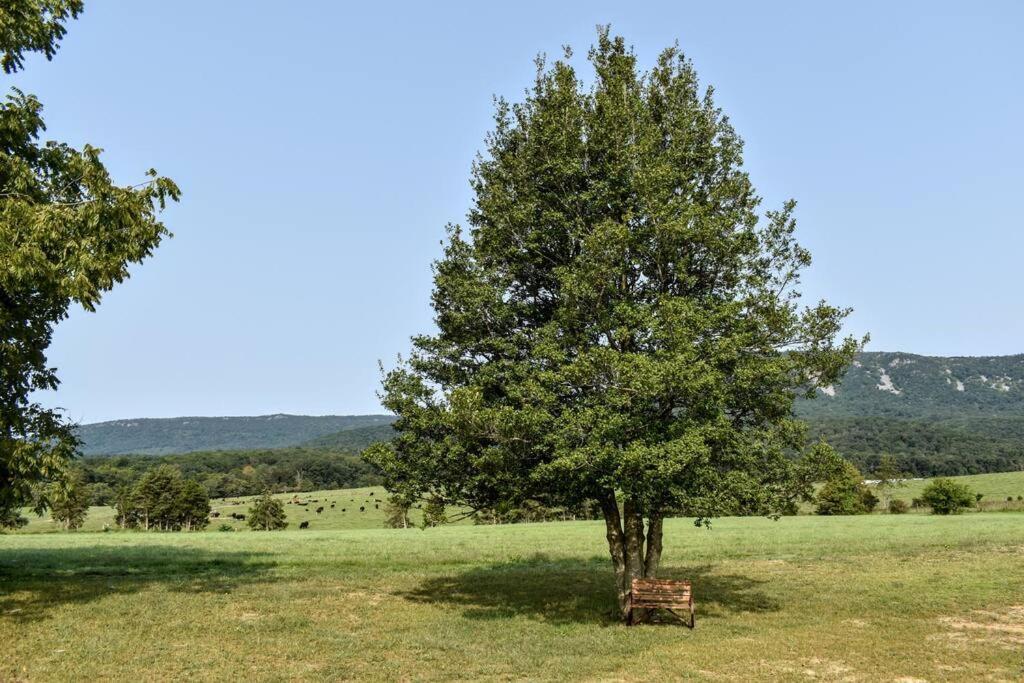 Holly Tree Retreat Located In Beautiful Luray, Va. Exterior foto